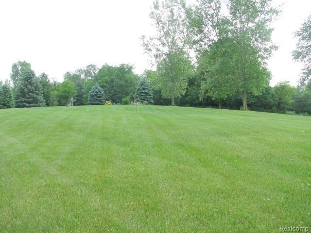 75695 Peters Drive Romeo, MI 48065 - Photo 38 of 40 #38 Gorgeous Yard.jpg