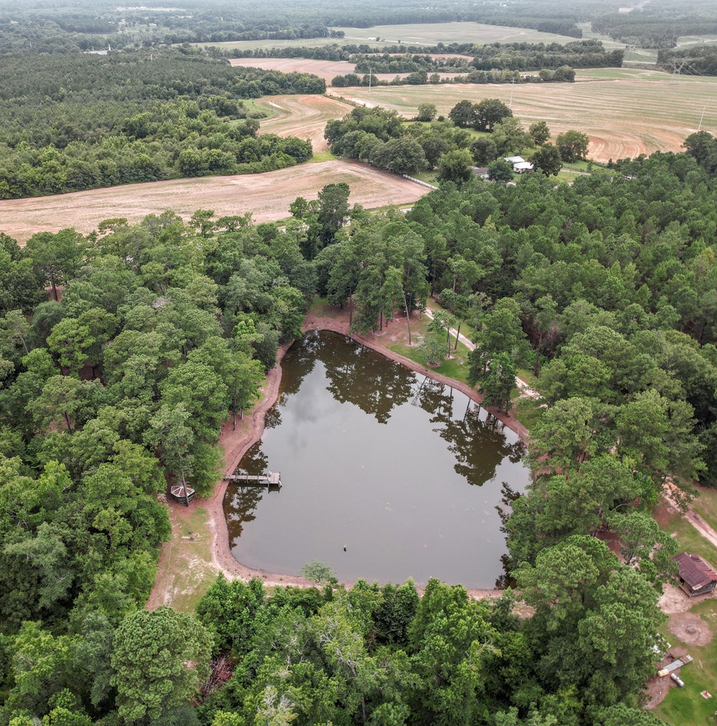 6850 North Co Road Columbia, AL 36319 - Photo 60 of 81