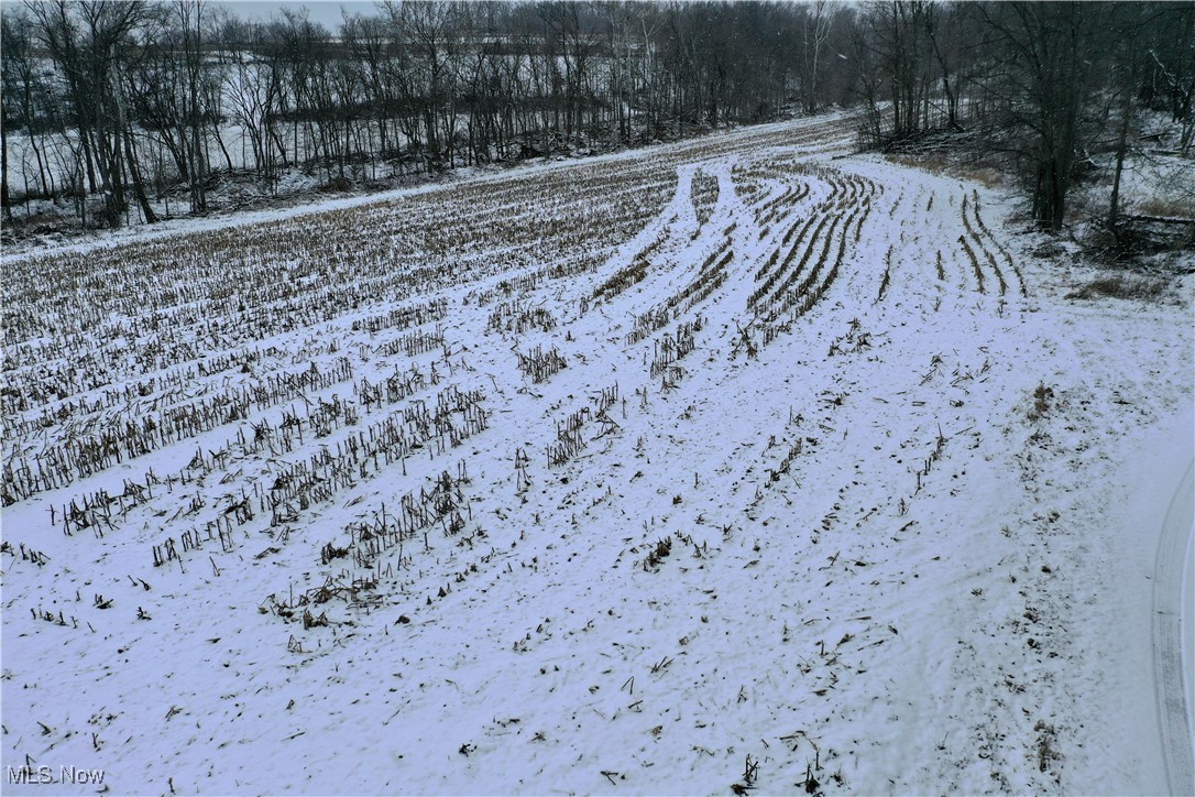 9602 Munson Road Wooster, OH 44691 - Photo 31 of 45 View of yard covered in snow