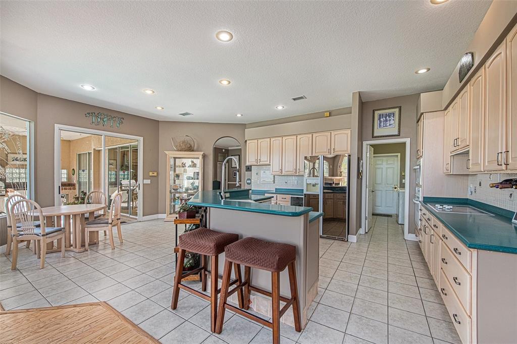 331 Lewis Road Lithia, FL 33547 - Photo 12 of 87