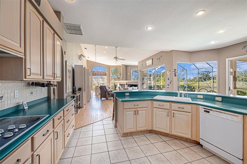 331 Lewis Road Lithia, FL 33547 - Photo 15 of 87