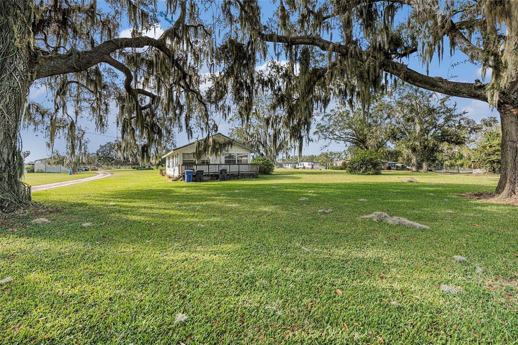 331 Lewis Road Lithia, FL 33547 - Photo 47 of 87