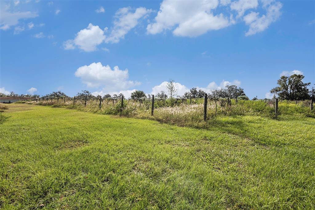 331 Lewis Road Lithia, FL 33547 - Photo 52 of 87