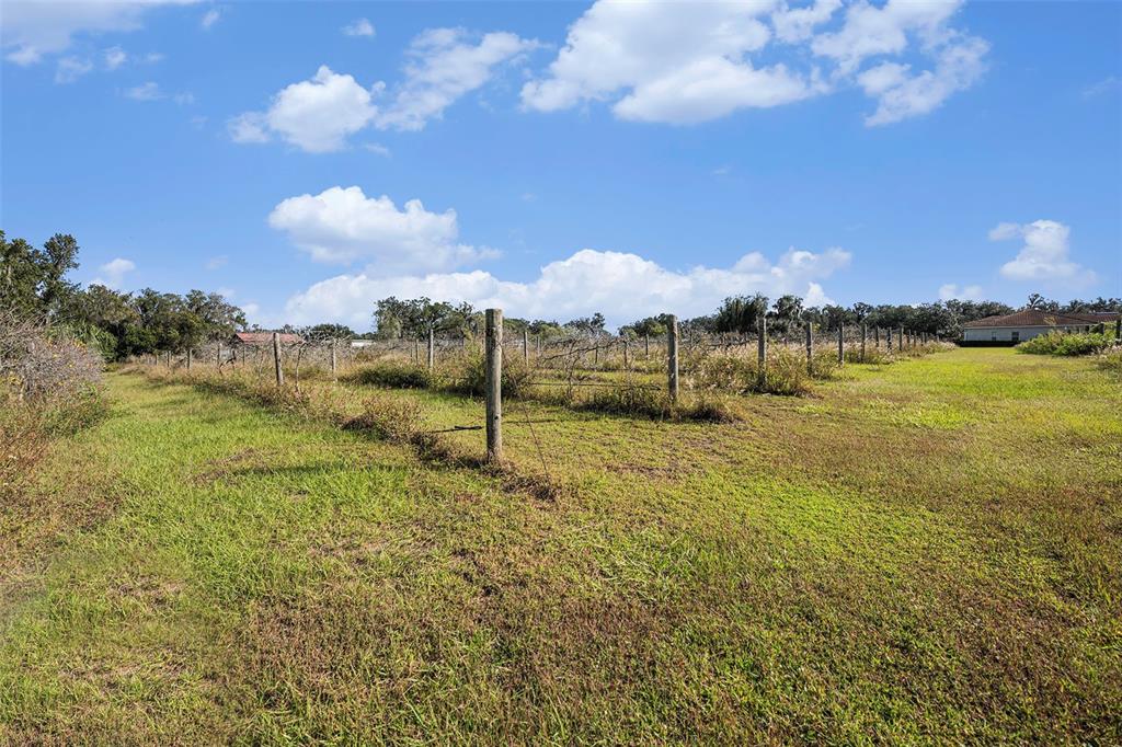 331 Lewis Road Lithia, FL 33547 - Photo 53 of 87