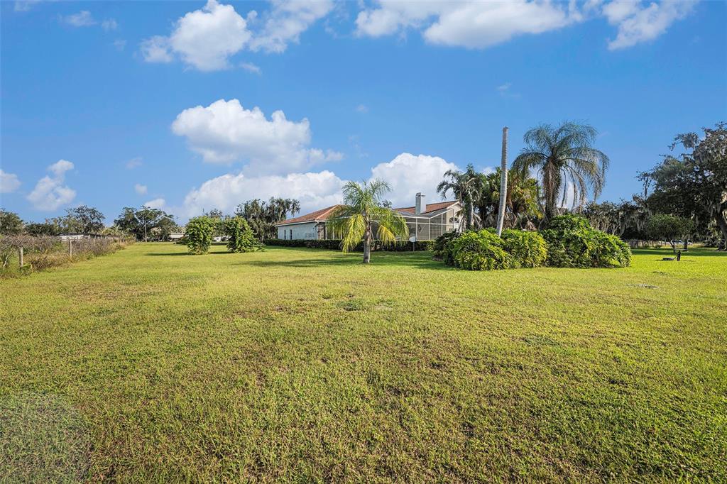 331 Lewis Road Lithia, FL 33547 - Photo 56 of 87