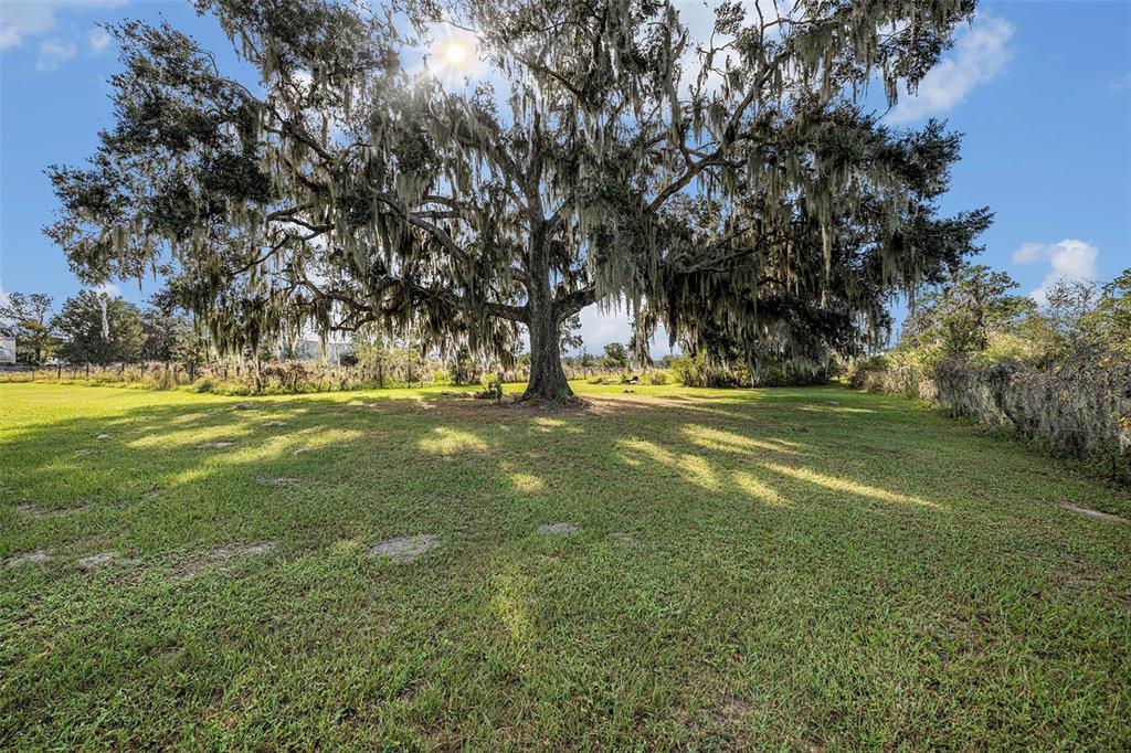 331 Lewis Road Lithia, FL 33547 - Photo 57 of 87 a view of a golf course