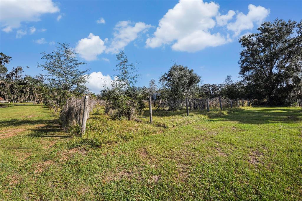 331 Lewis Road Lithia, FL 33547 - Photo 58 of 87 a view of a golf course with a lake