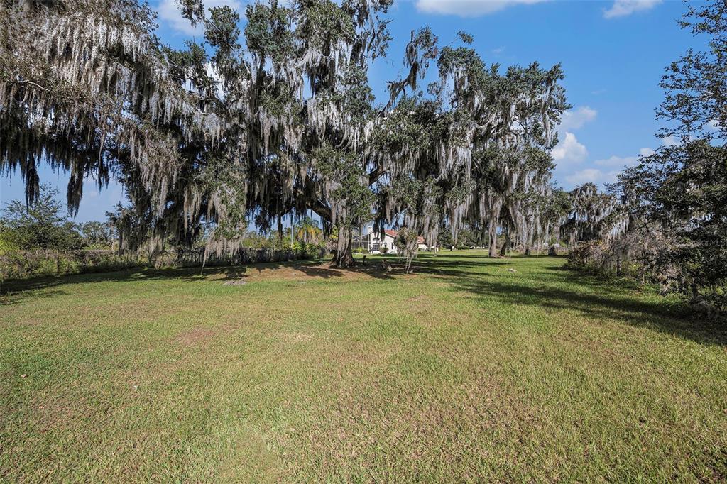 331 Lewis Road Lithia, FL 33547 - Photo 60 of 87 a view of outdoor space