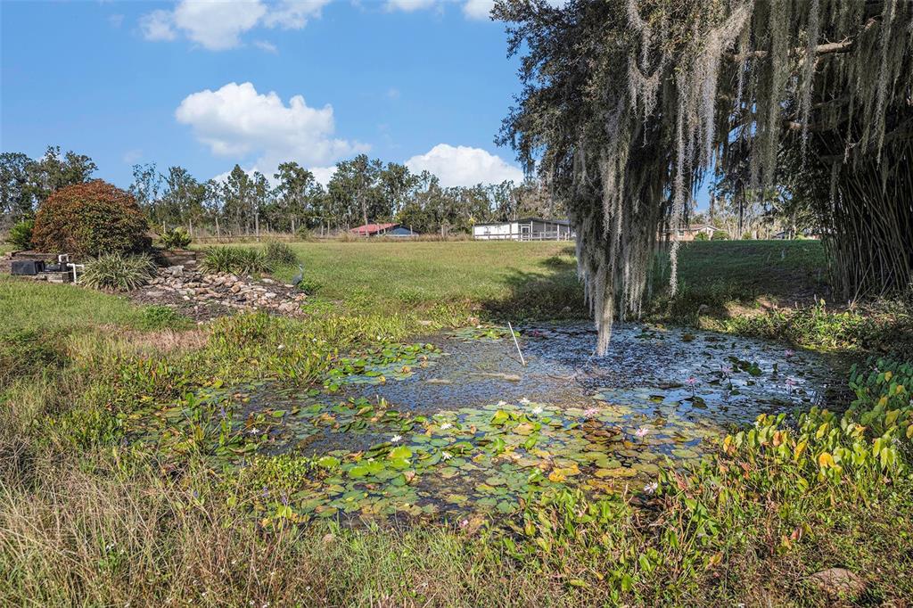 331 Lewis Road Lithia, FL 33547 - Photo 61 of 87 a view of a lake with a tree in the background