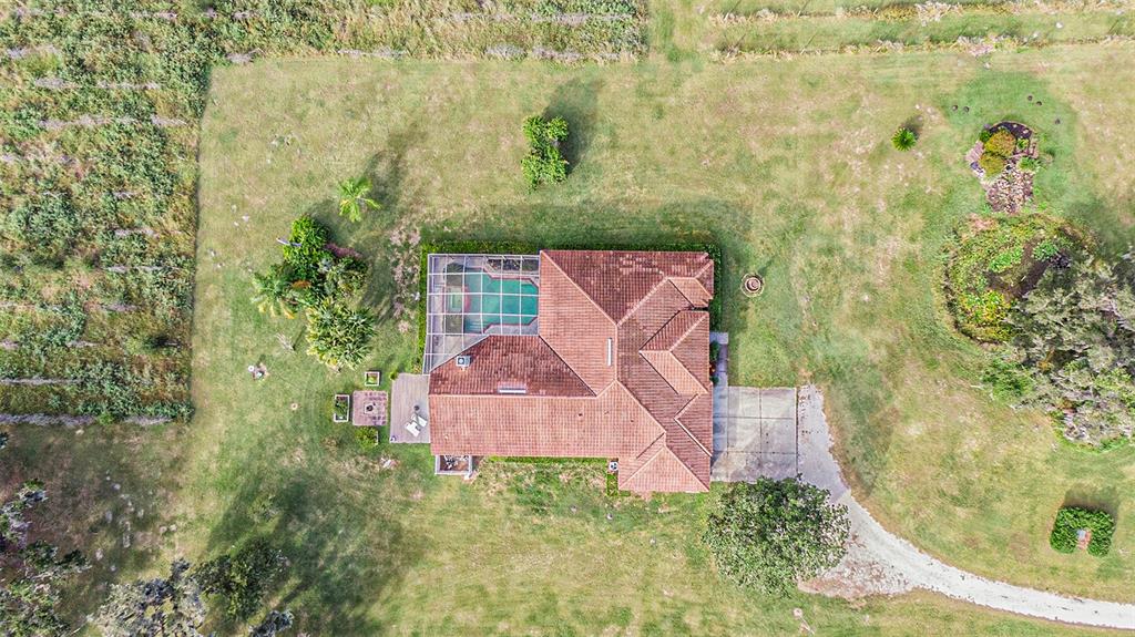 331 Lewis Road Lithia, FL 33547 - Photo 63 of 87 a aerial view of a house with a yard and large trees