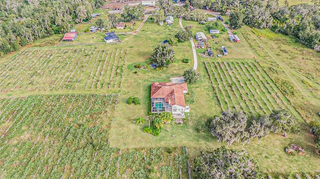 $1,500,000 | 331 Lewis Road, Lithia, FL 33547