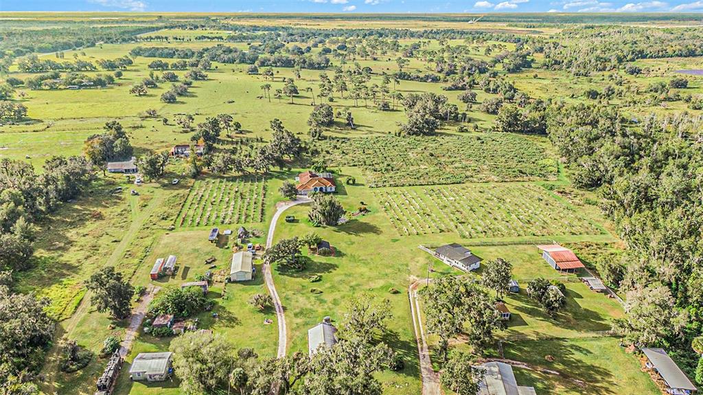 331 Lewis Road Lithia, FL 33547 - Photo 69 of 87