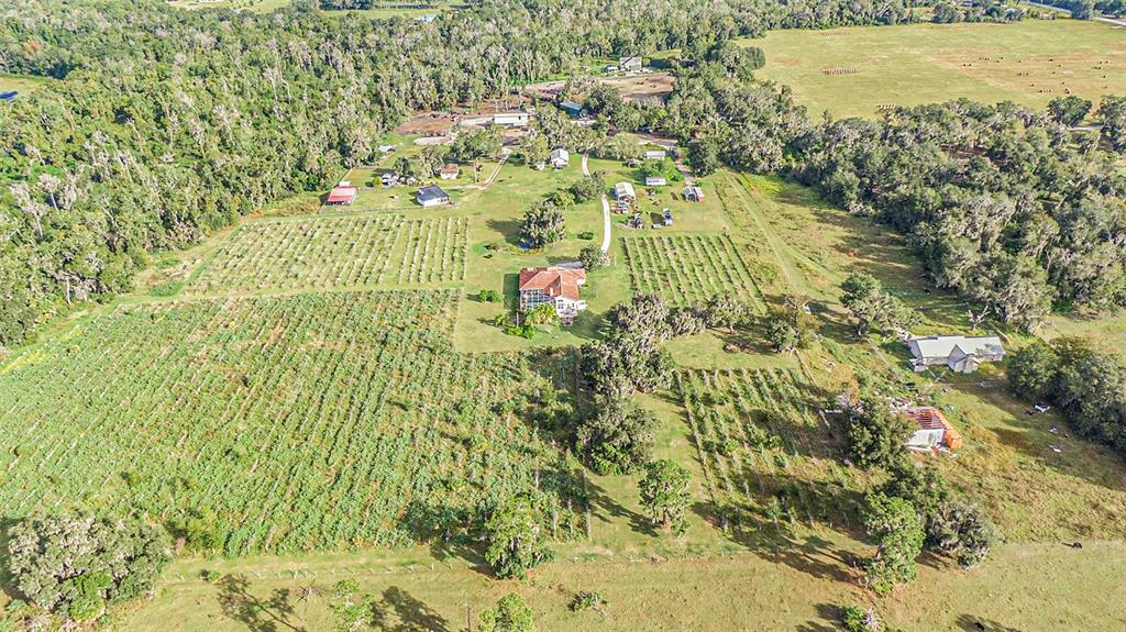 331 Lewis Road Lithia, FL 33547 - Photo 71 of 87