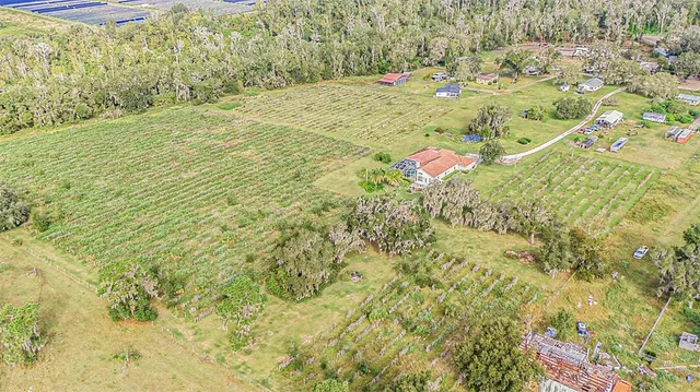 $1,500,000 | 331 Lewis Road, Lithia, FL 33547