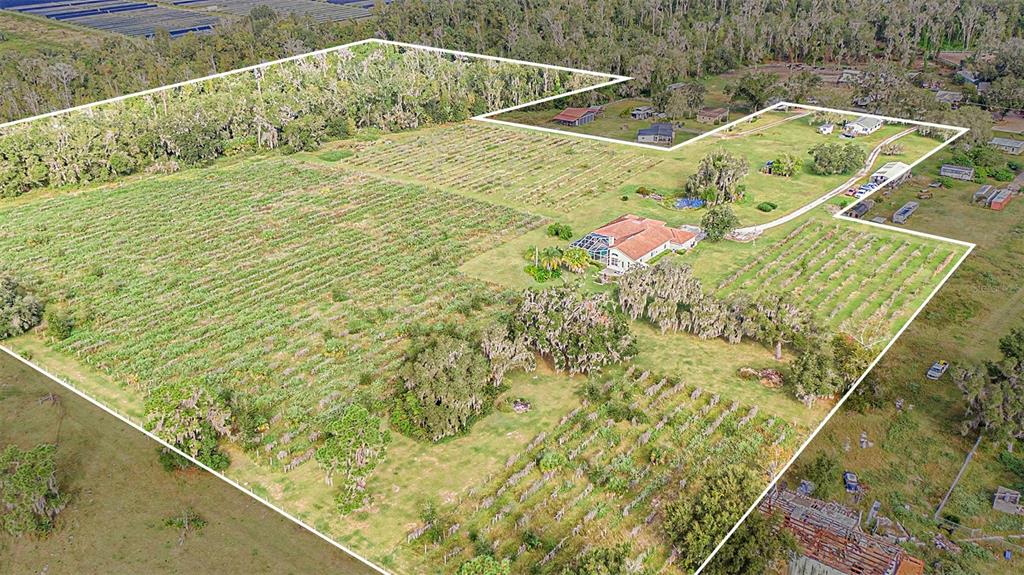 331 Lewis Road Lithia, FL 33547 - Photo 76 of 87