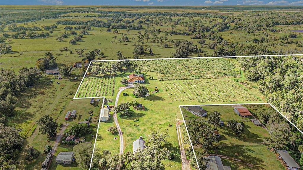 331 Lewis Road Lithia, FL 33547 - Photo 77 of 87