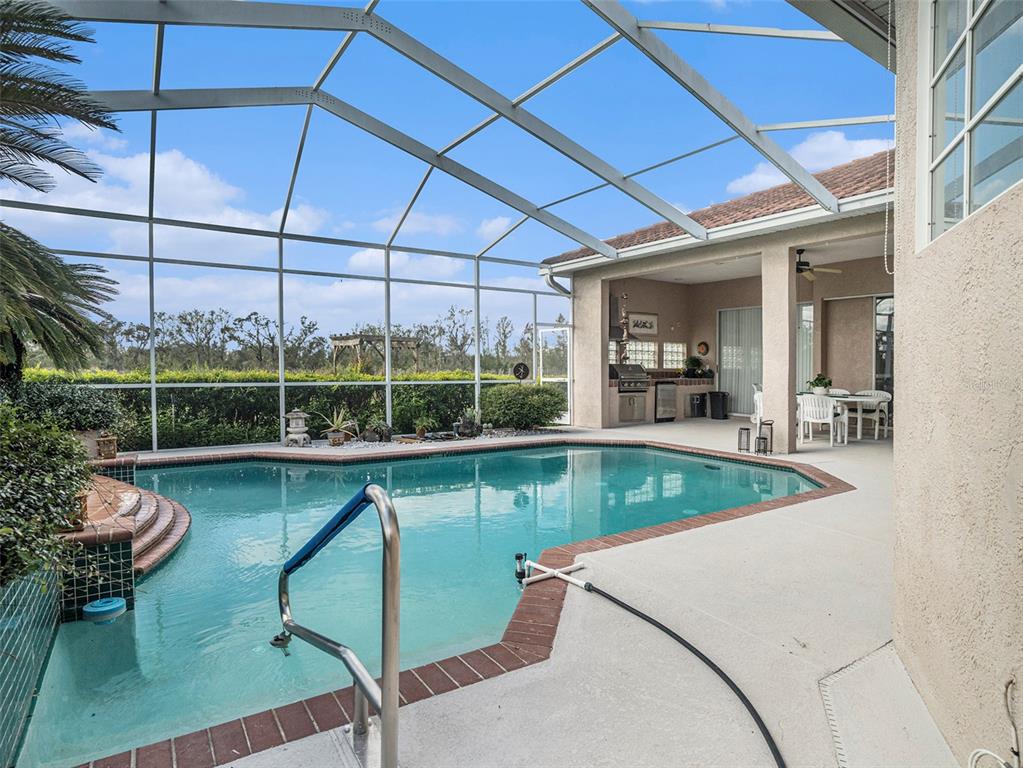 331 Lewis Road Lithia, FL 33547 - Photo 83 of 87 a view of a swimming pool with outdoor seating and plants