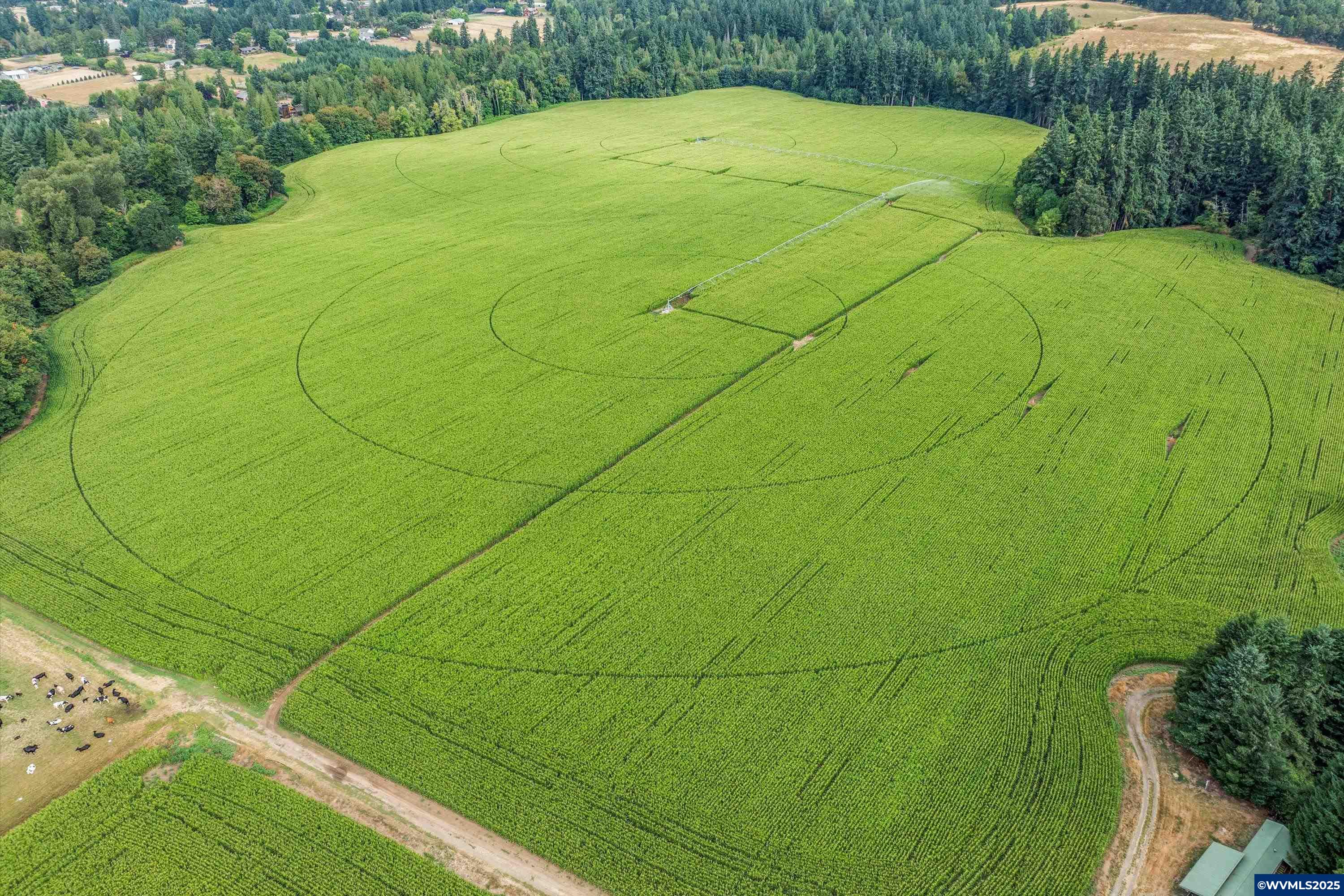 21303 South Central Point Road Canby, OR 97013 - Photo 11 of 50 a view of a field