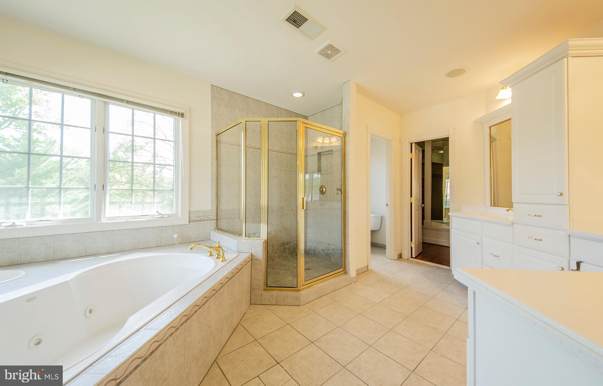 9005 Edgepark Road Vienna, VA 22182 - Photo 23 of 37 Master Bath