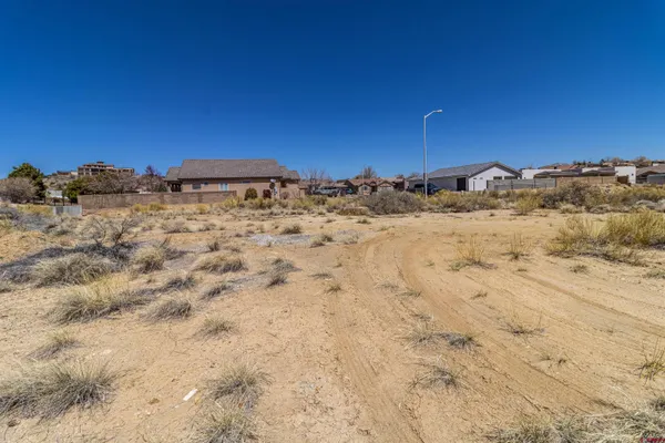 a view of a dry yard with wooden fence