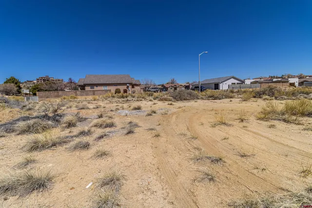 a view of a dry yard with wooden fence