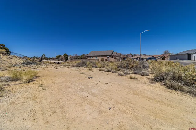 a view of a dry yard with trees