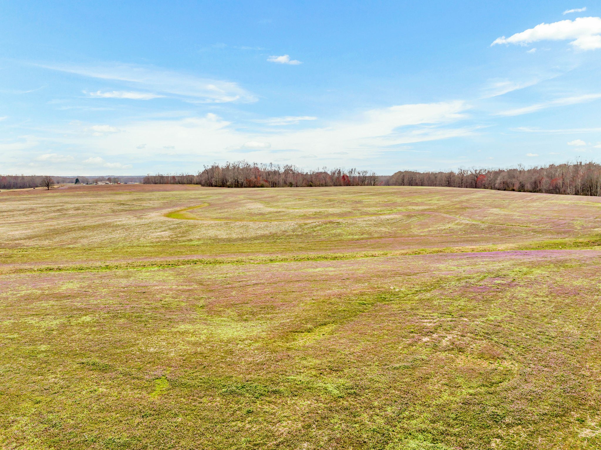 0 Aldridge Road Leoma, TN 38468 - Photo 8 of 19 a view of an ocean