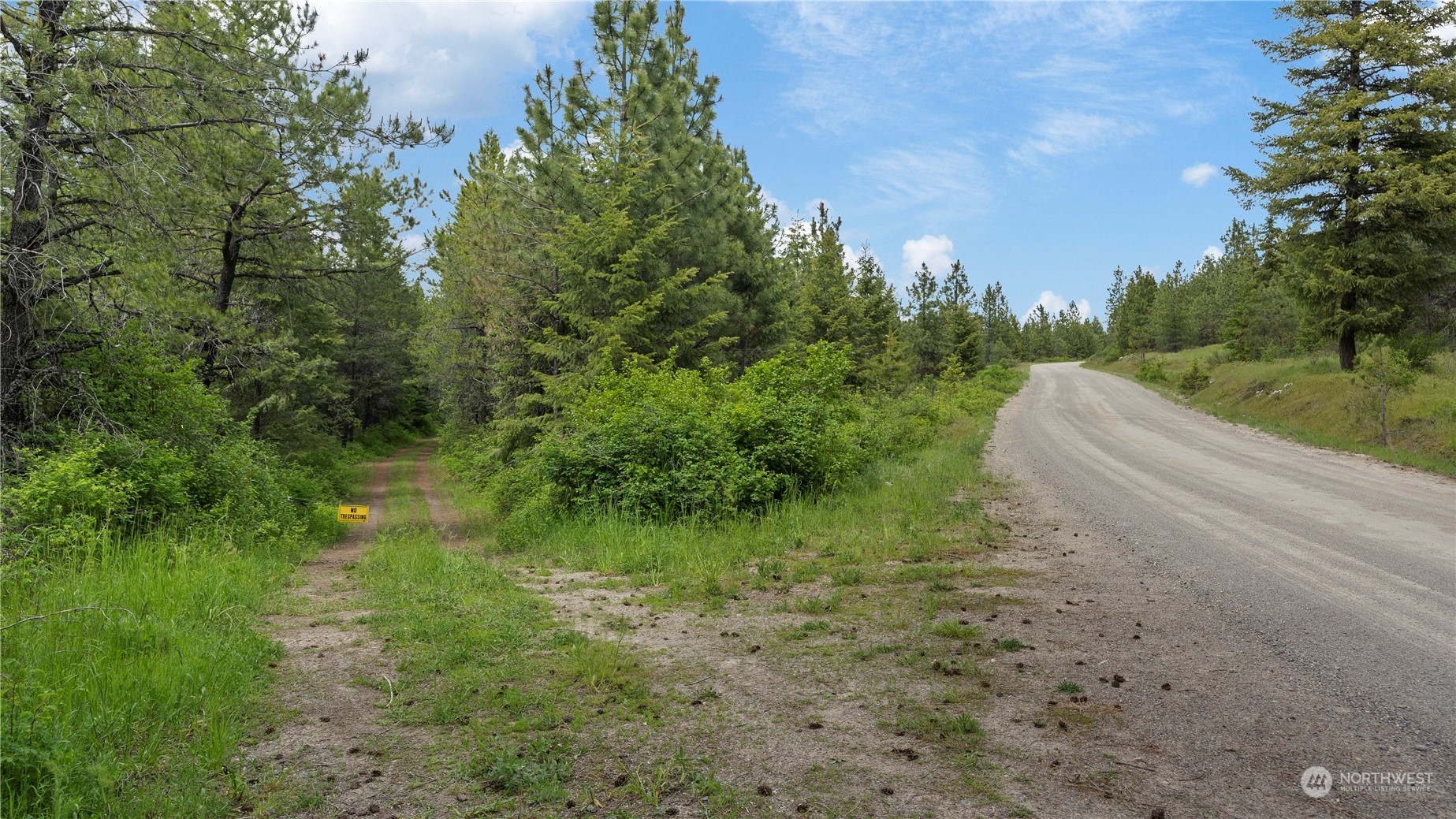 621 Thompson Road Elk, WA 99009 - Photo 3 of 18 Gallery Image 3