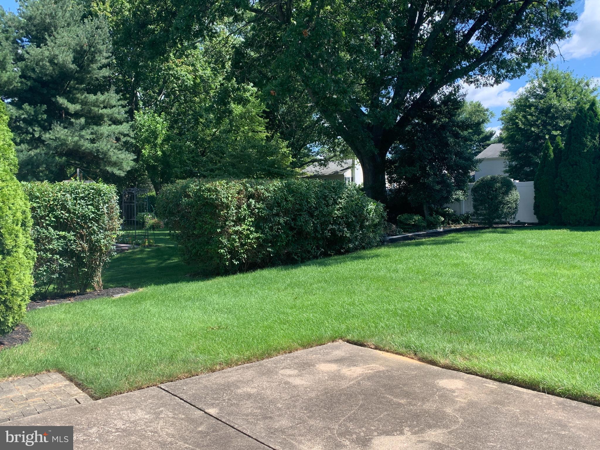 193 Rice Drive Morrisville, PA 19067 - Photo 42 of 47 rear yard