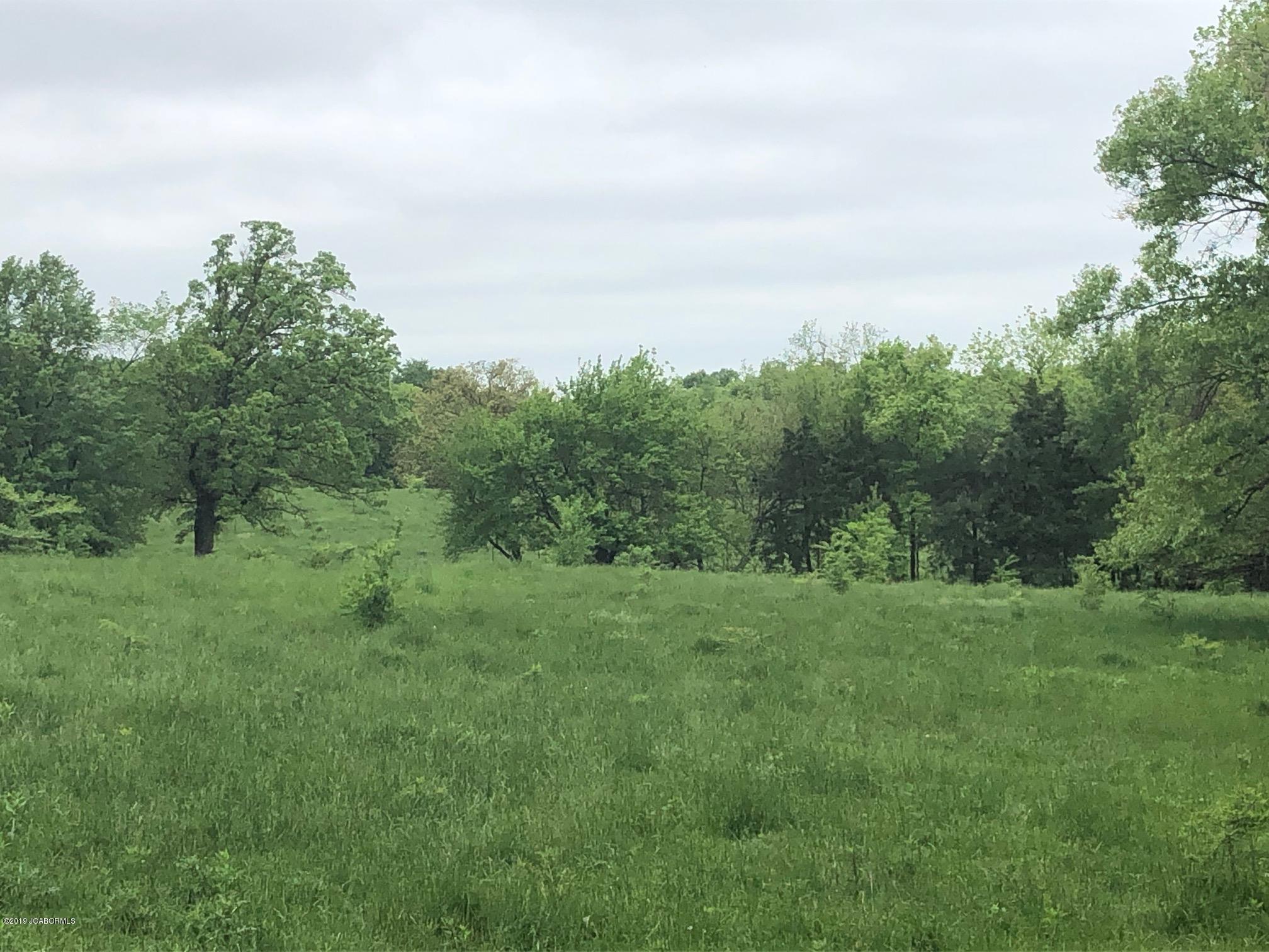 Tbd Union Ford Road California, MO 65018 - Photo 6 of 13