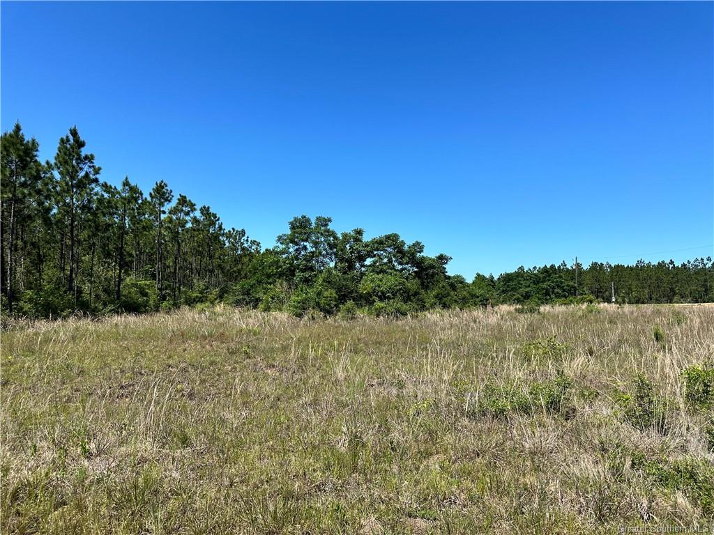 0 Panhandle Road Dequincy, LA 70633 - Photo 2 of 4