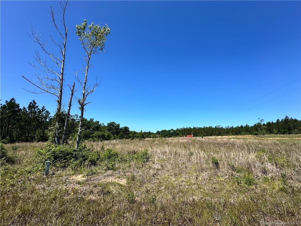 0 Panhandle Road Dequincy, LA 70633 - Photo 3 of 4