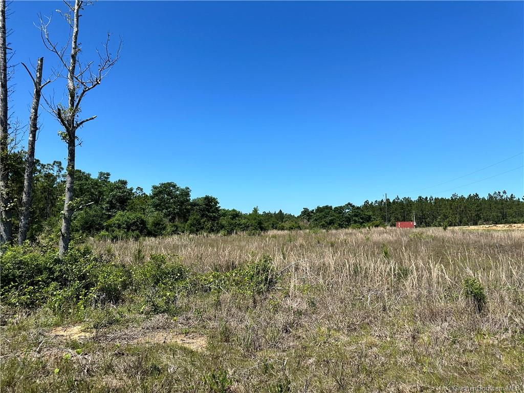 0 Panhandle Road Dequincy, LA 70633 - Photo 4 of 4