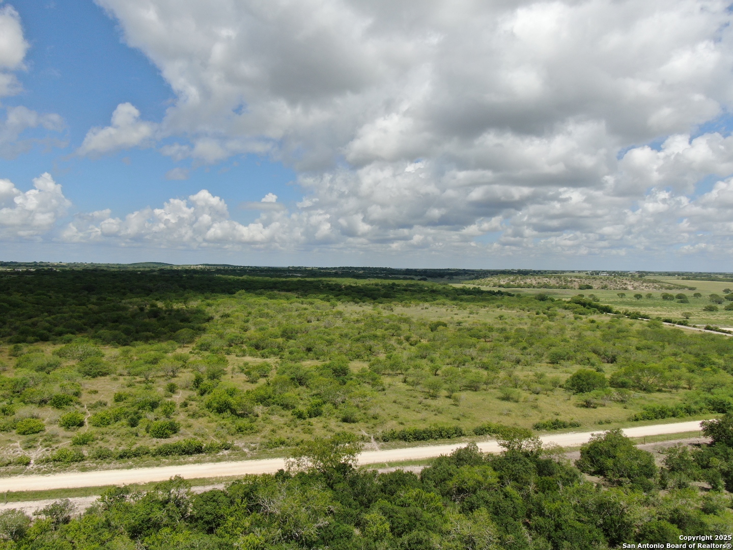 Tract 3 County Rd 207 Falls City, TX 78117 - Photo 4 of 5 a view of a lake