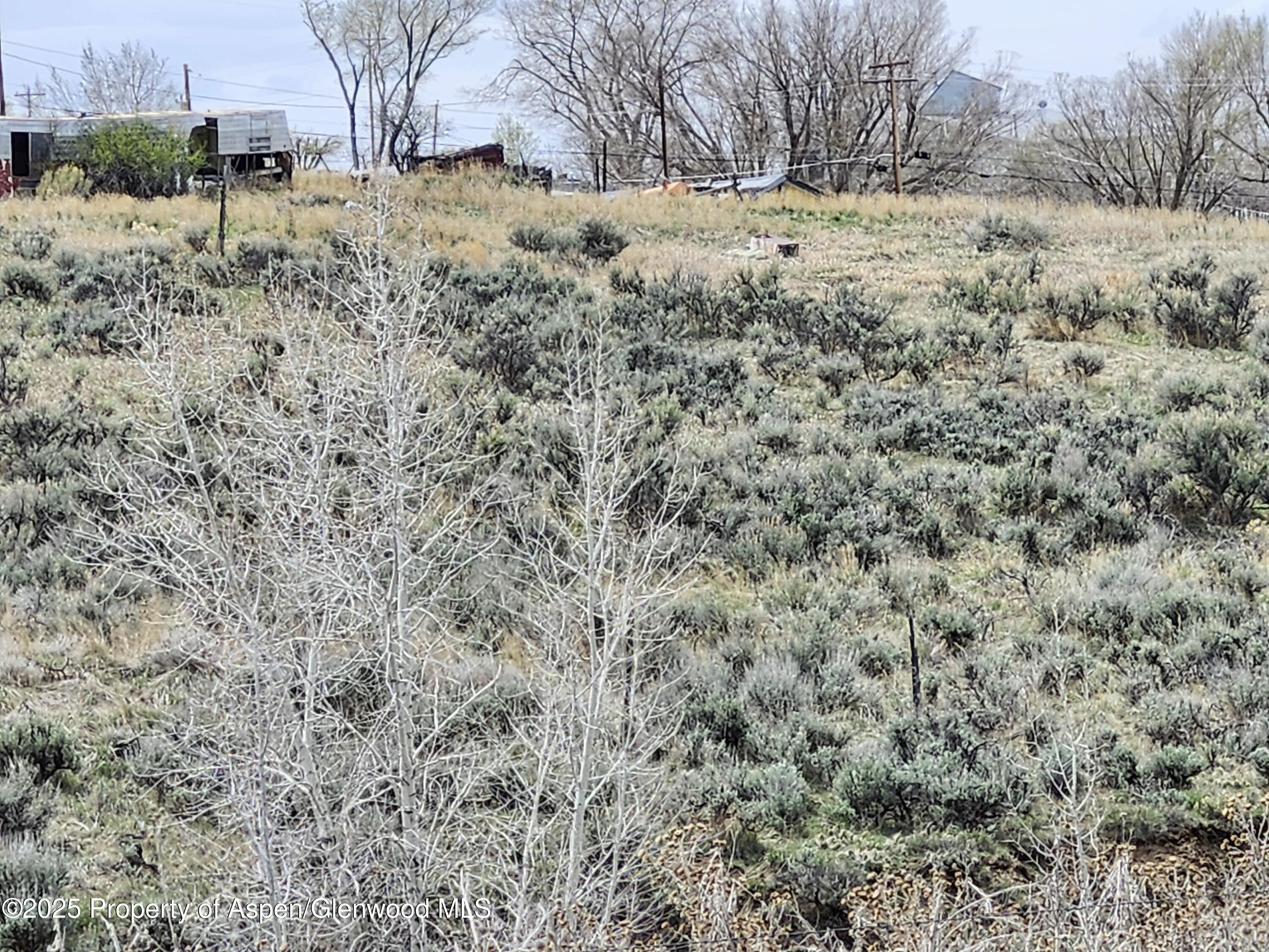 Tbd Pine Street, Unit 2830 Craig, CO 81625 - Photo 2 of 6 a view of a dry yard with trees