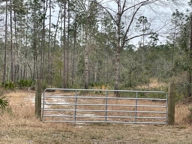 0 Williams Lane Elberta, AL 36530 - Photo 5 of 7