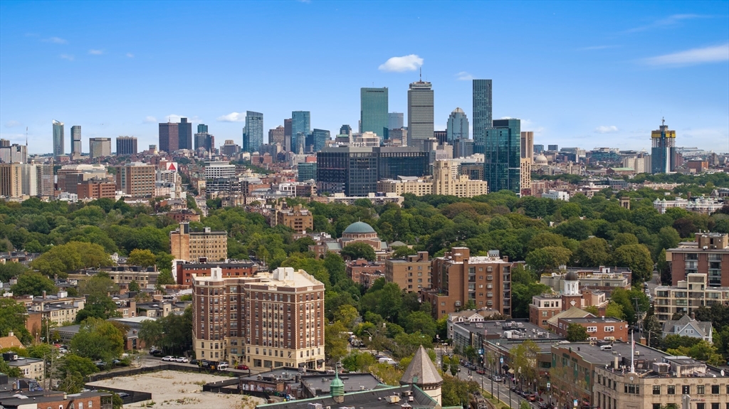 125 Park Street, Unit 6 Brookline, MA 02446 - Photo 30 of 30