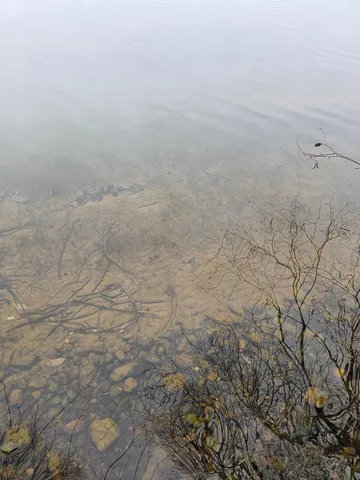 $325,000 | 40749 County Road 612, Nashwauk, MN 55769