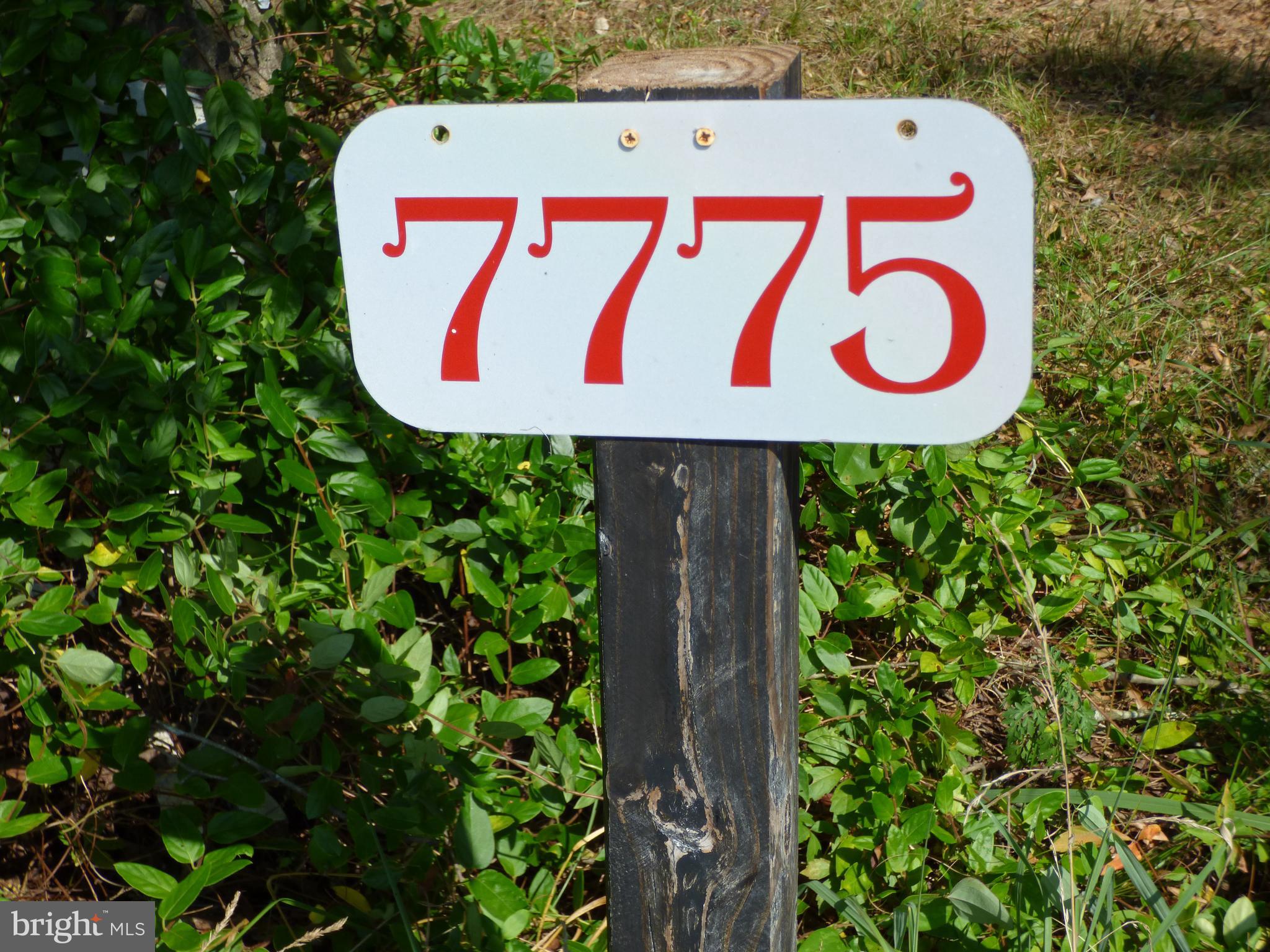 7775 New Hope Road Willards, MD 21874 - Photo 14 of 37