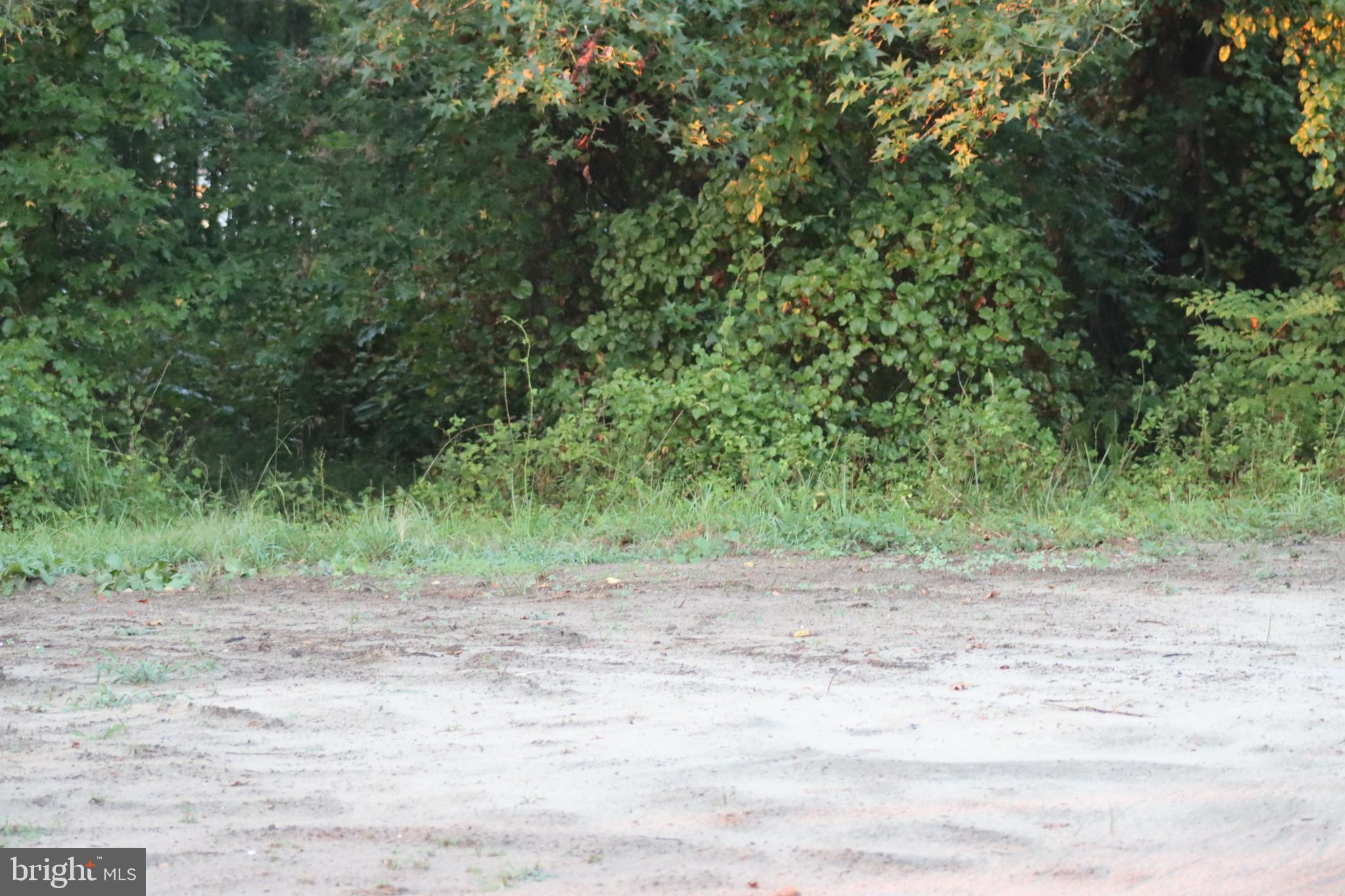 7775 New Hope Road Willards, MD 21874 - Photo 18 of 37