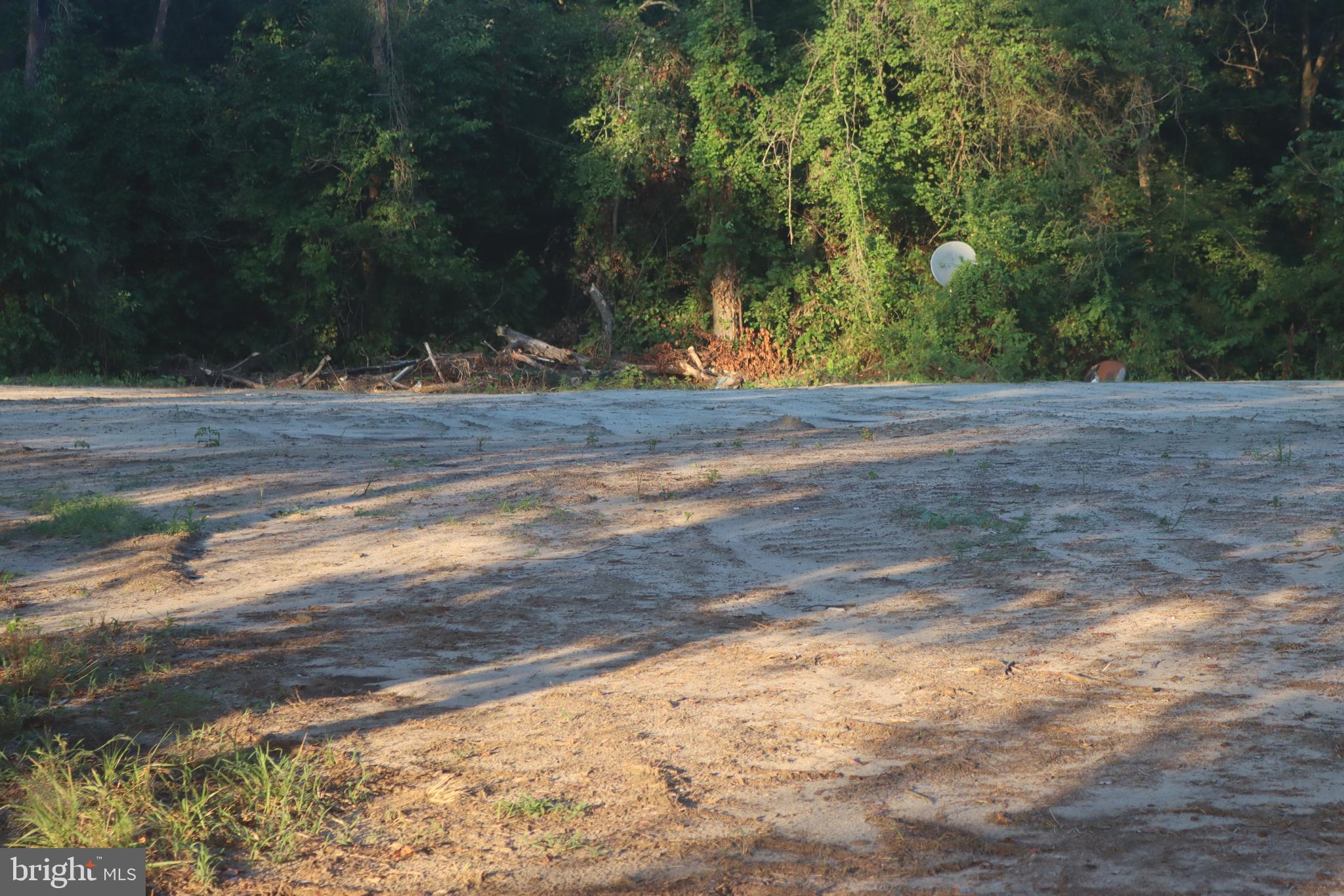 7775 New Hope Road Willards, MD 21874 - Photo 19 of 37