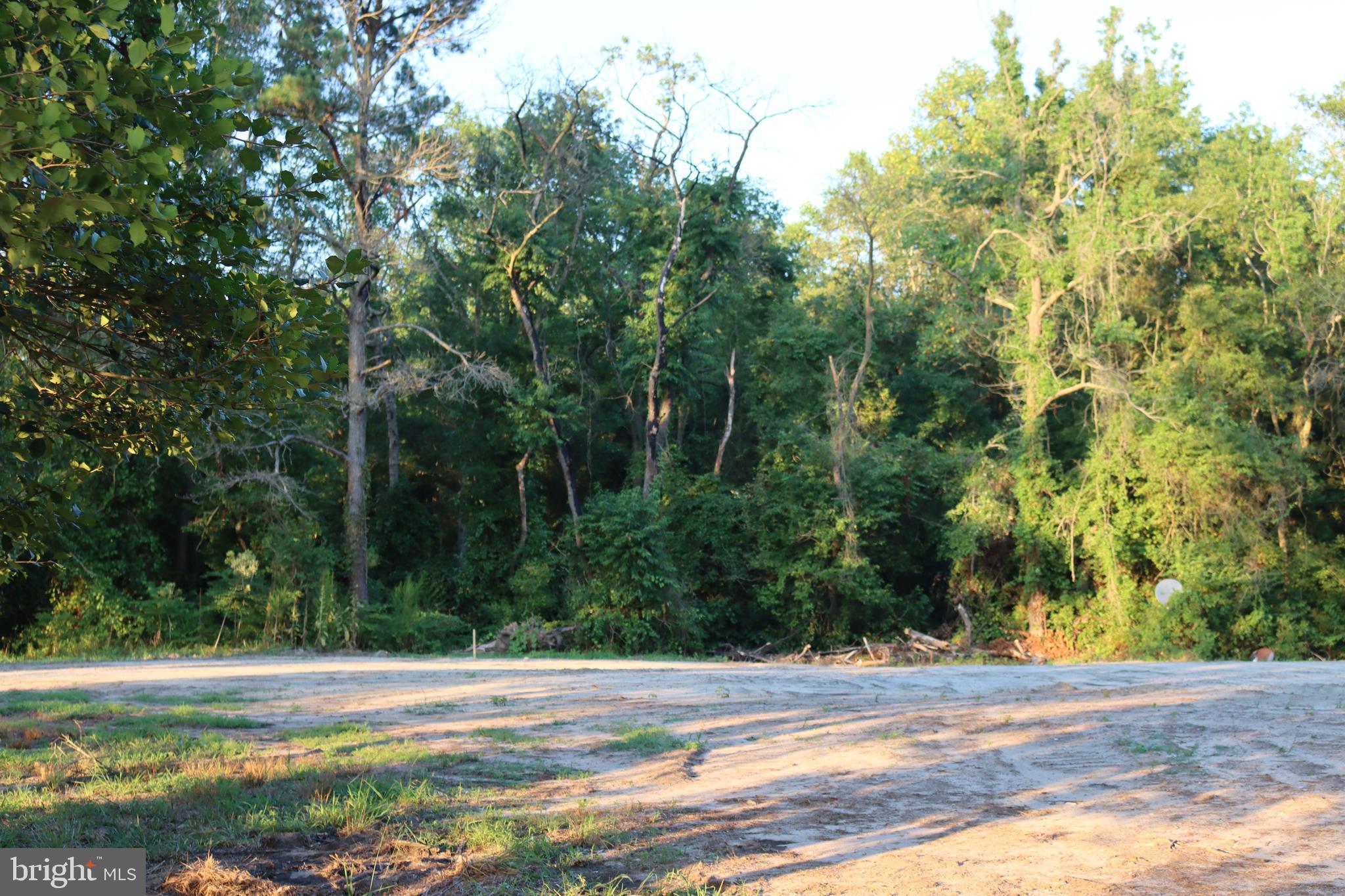 7775 New Hope Road Willards, MD 21874 - Photo 22 of 37