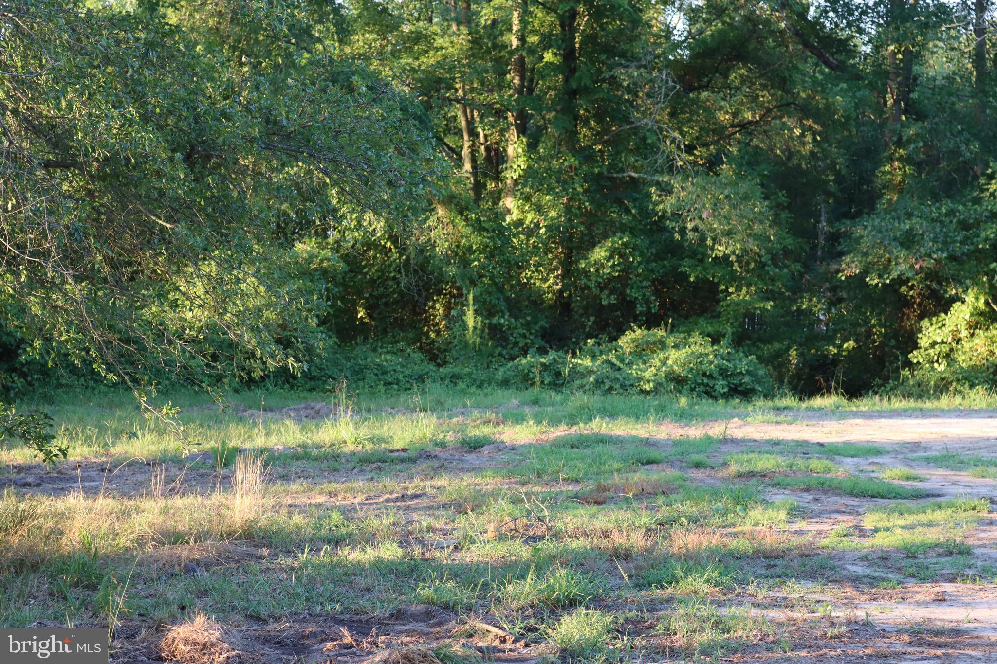 7775 New Hope Road Willards, MD 21874 - Photo 25 of 37