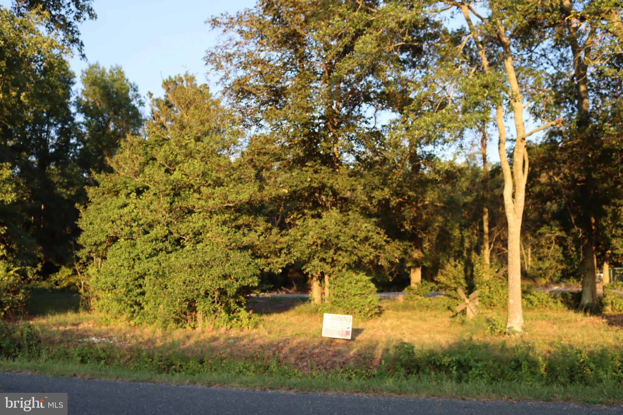 7775 New Hope Road Willards, MD 21874 - Photo 26 of 37