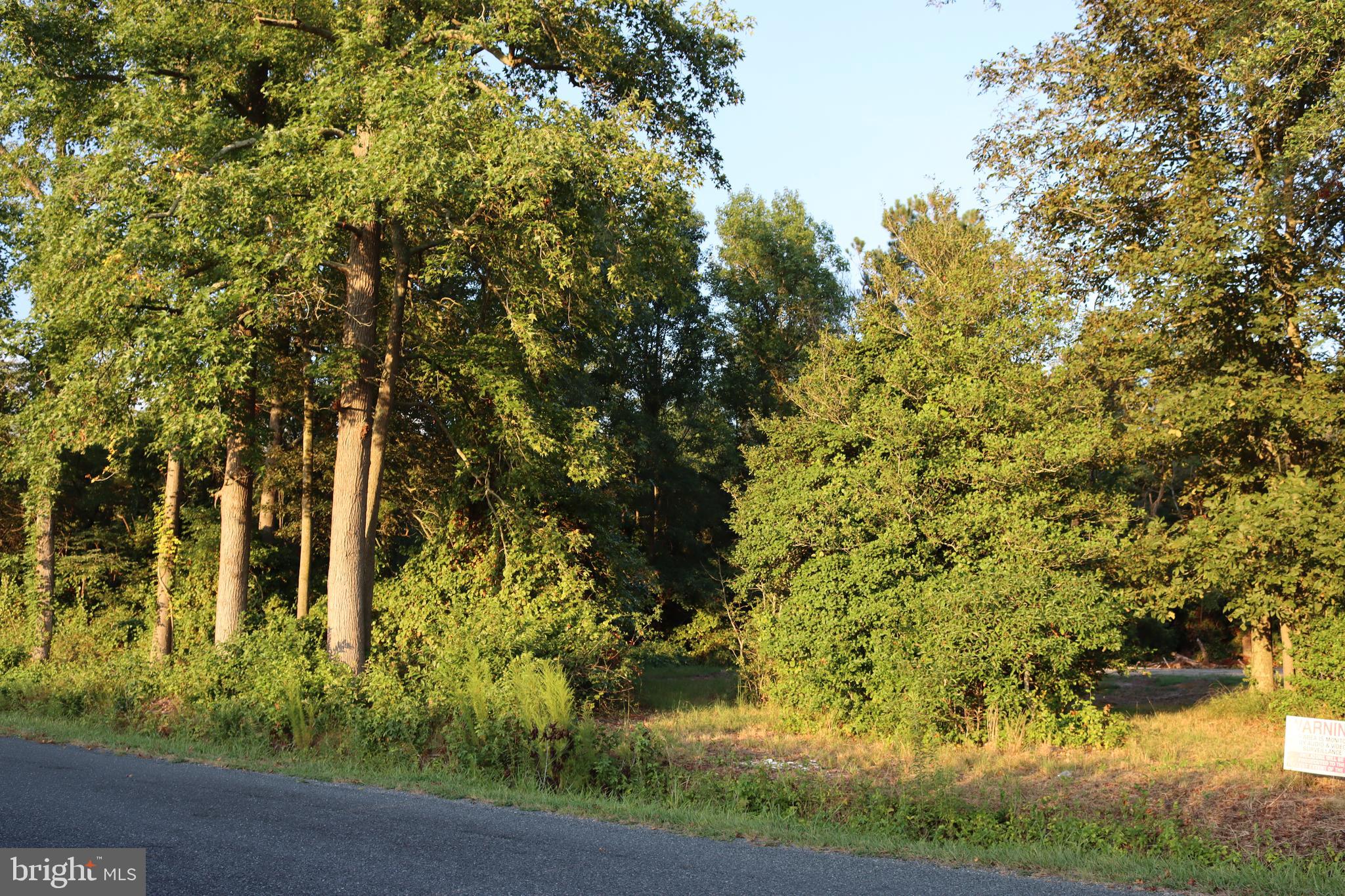 7775 New Hope Road Willards, MD 21874 - Photo 27 of 37