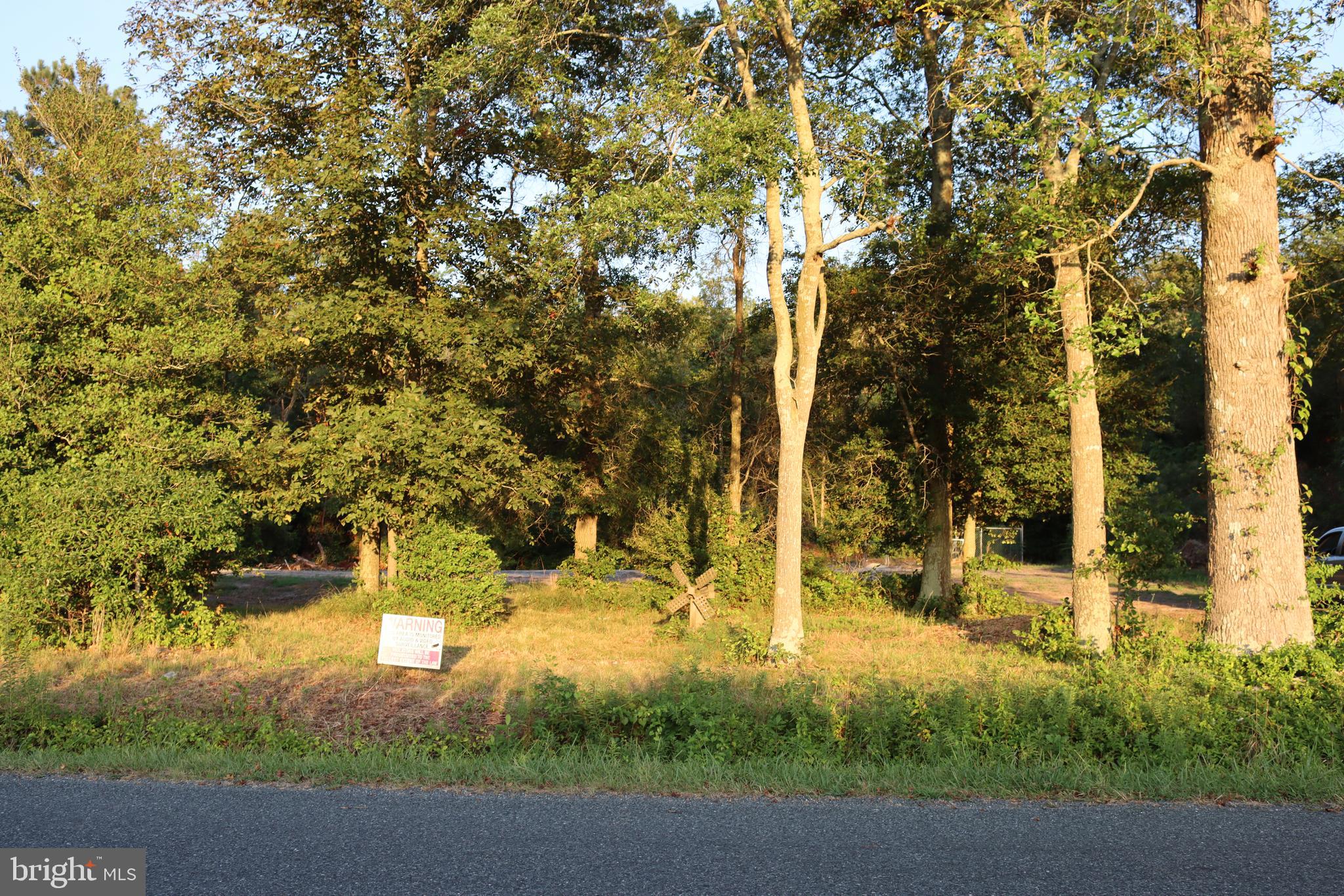 7775 New Hope Road Willards, MD 21874 - Photo 28 of 37