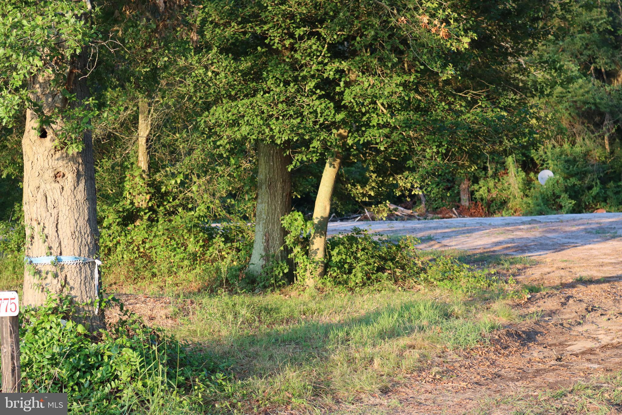 7775 New Hope Road Willards, MD 21874 - Photo 29 of 37