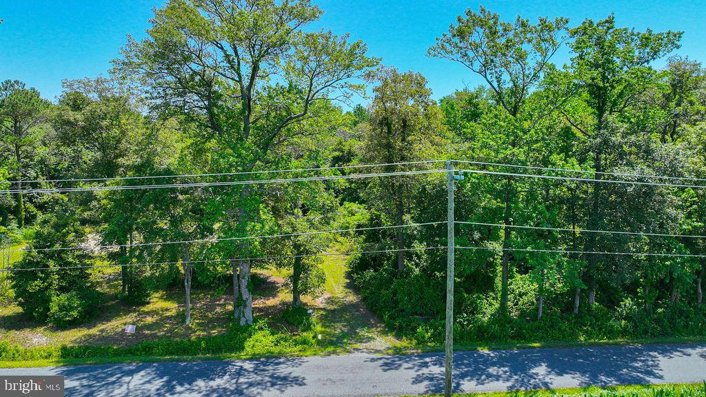 7775 New Hope Road Willards, MD 21874 - Photo 30 of 37