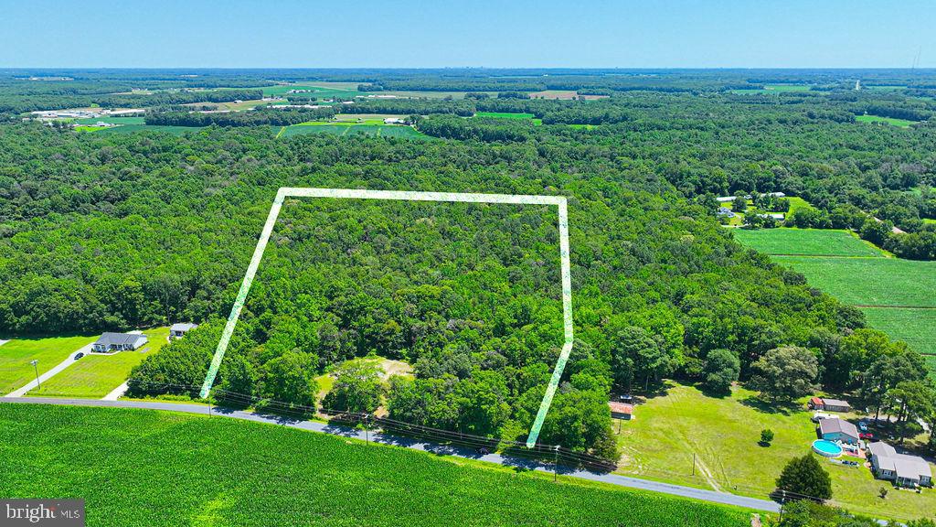 7775 New Hope Road Willards, MD 21874 - Photo 3 of 37