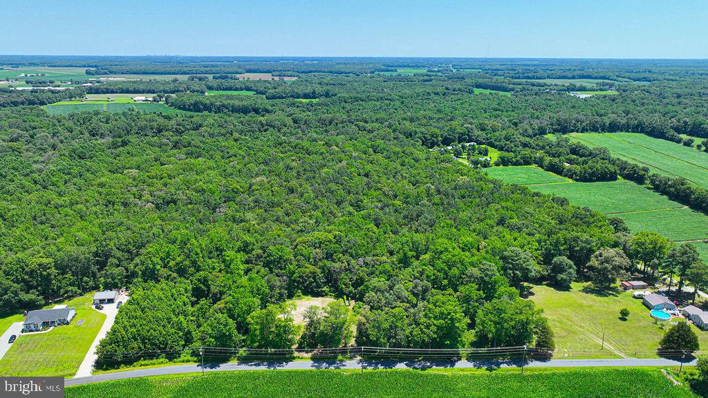 7775 New Hope Road Willards, MD 21874 - Photo 31 of 37